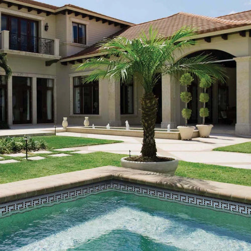 6 Swimming Pool Ideas For 2024