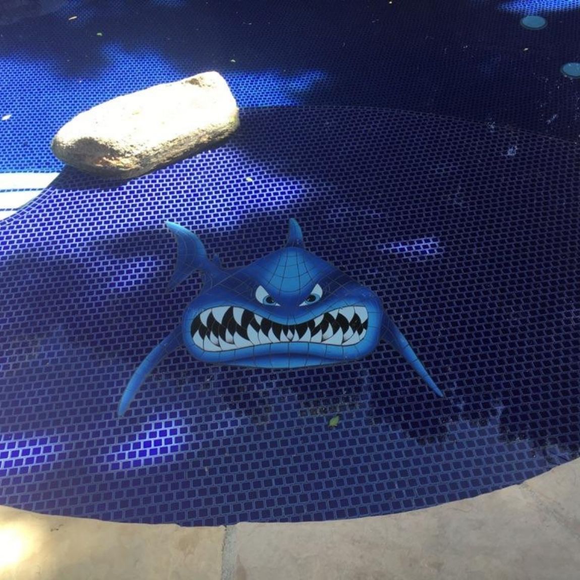 Porcelain In Your Face Shark Mosaic installed on a swimming pool stair.