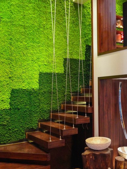 Moss Menu