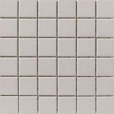 Light Gray Porcelain Mosaic Tile Matte Finish 2x2 Questions & Answers