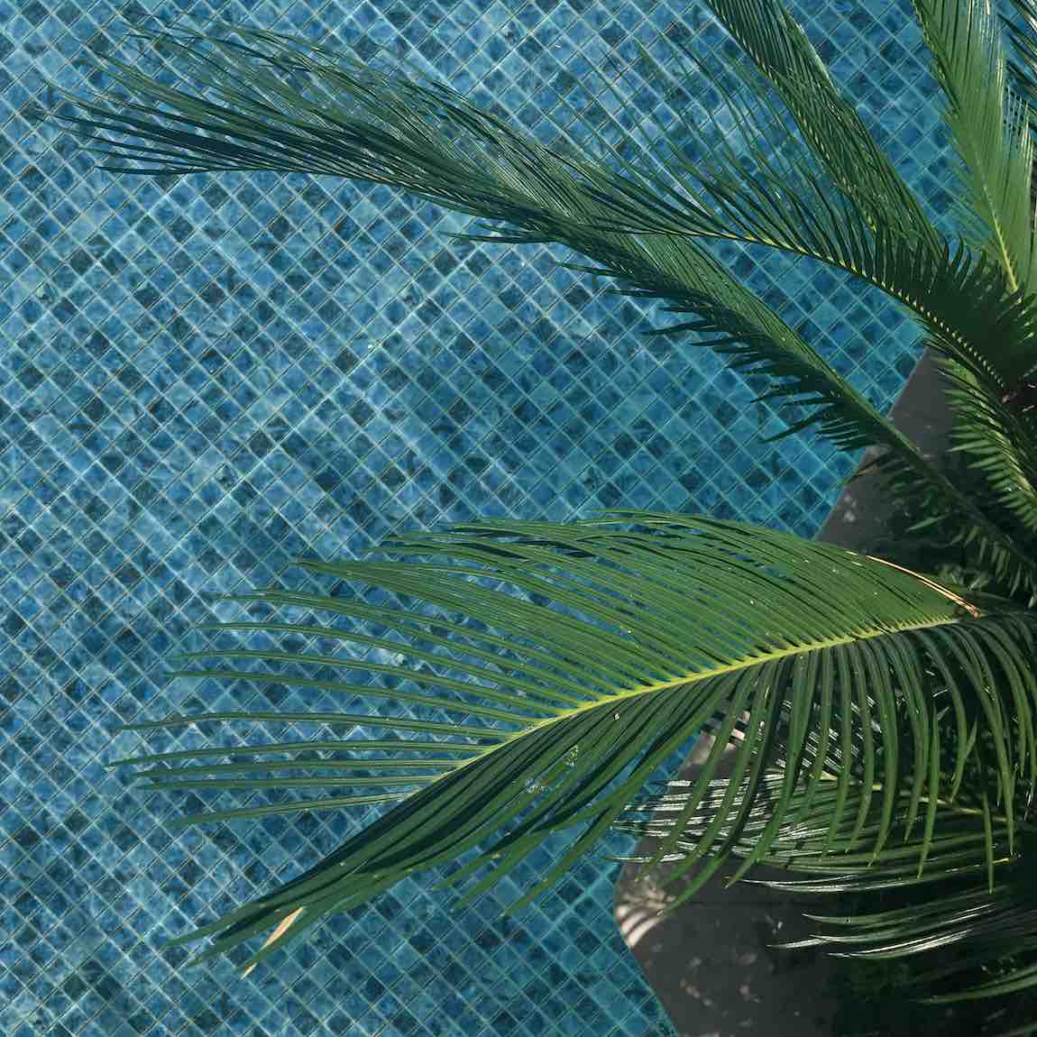 Preserve Recycled Glass Mosaic Tile Madang 1x1