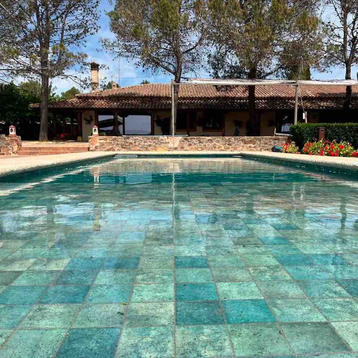 Papeete Emerald Pool Tile 6x6 Bright featured on a swimming pool