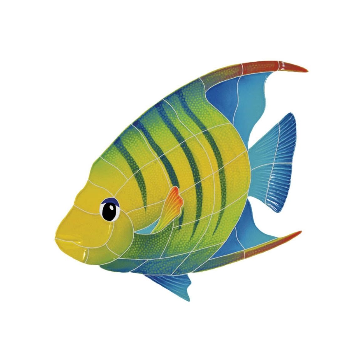 Pool Mosaic Banded Angelfish