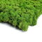 Living Wall Moss Tile Green 15 x 23