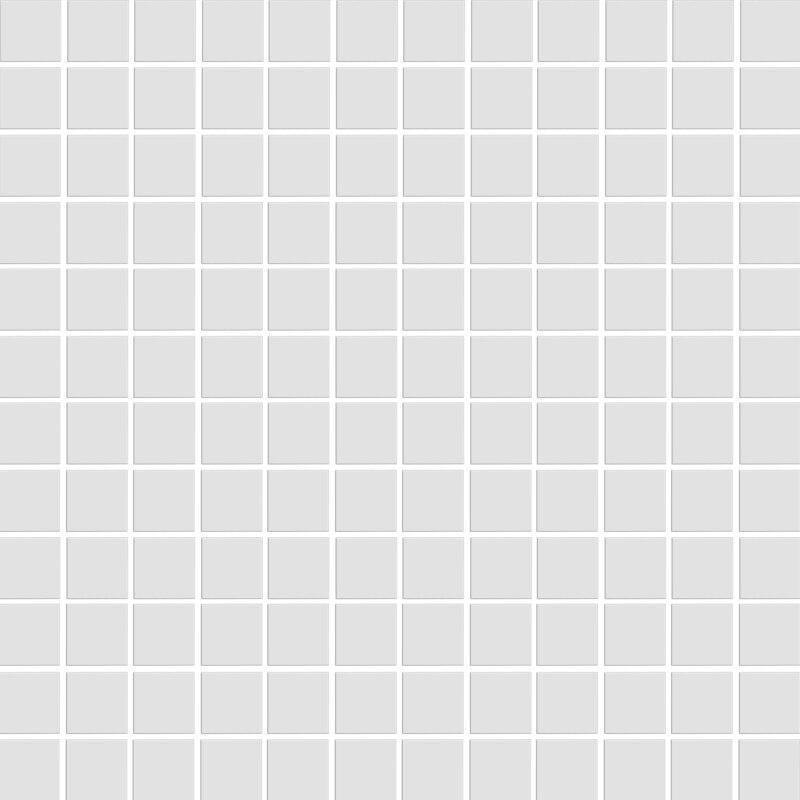 White Matte Porcelain Mosaic Tile 1 x 1