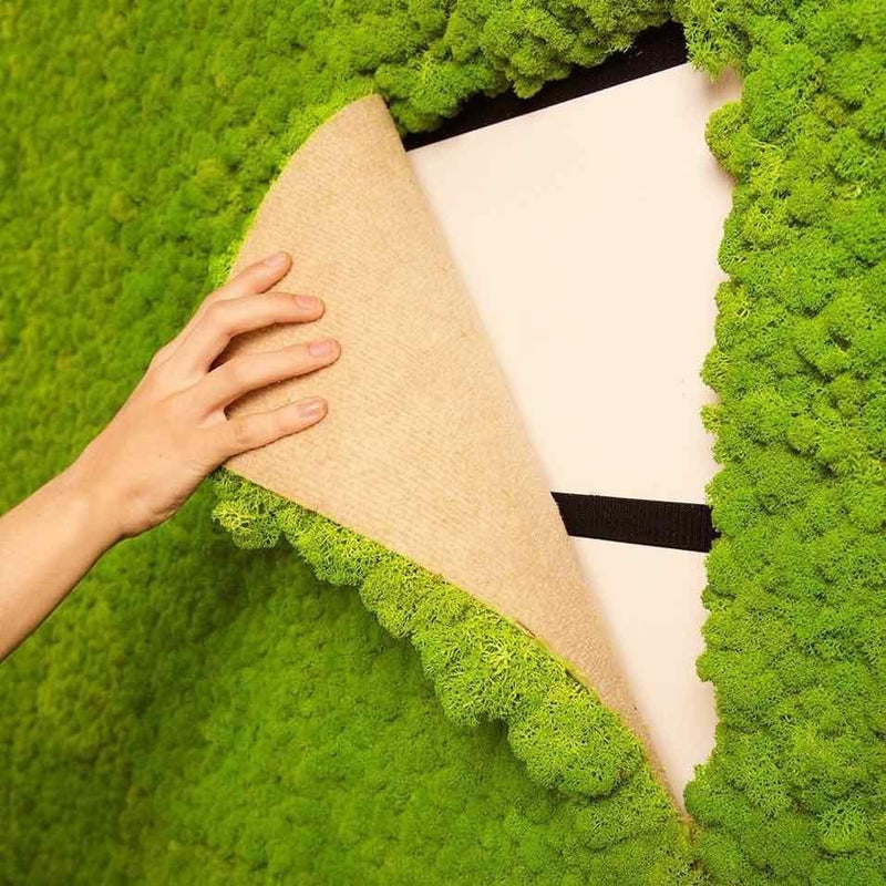 This Moss Shower Mat Lets You Dry Your Feet On Natural Living Moss When  Exiting The Shower