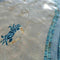 Pool Tanning Aerea with Turquoise Glass Mosaic Tile by Mineral Tiles