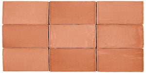Coastal Rose 2.5x5 Ceramic Subway Tile for kitchen backsplash, bathroom, and shower walls.