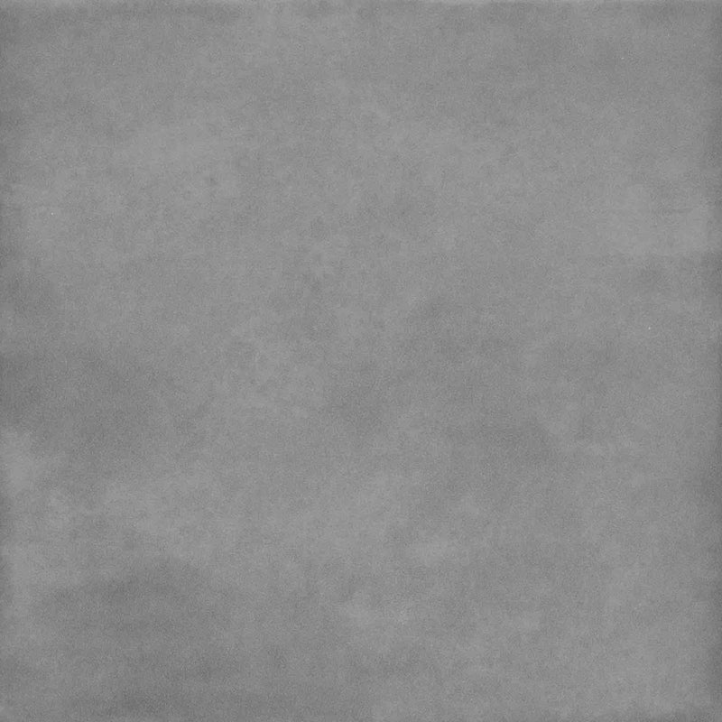 Encaustic Porcelain Tile Taupe 8x8 for floor and walls.
