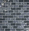 Glass Pool Mosaic Tile Silver Blend 1x2 for saltwater pools